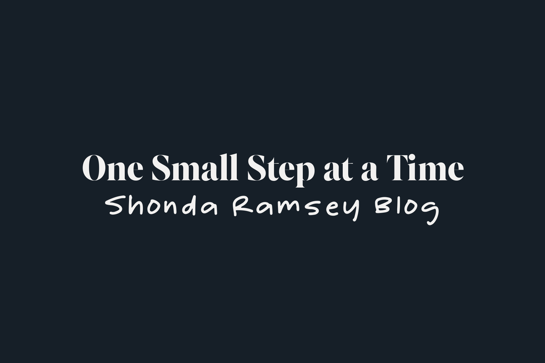 One Small Step at a Time