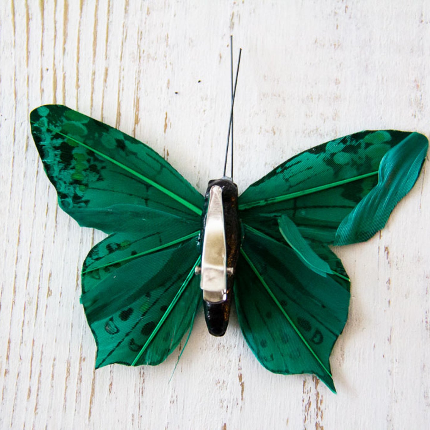 Butterfly - Large Embellishment Clips