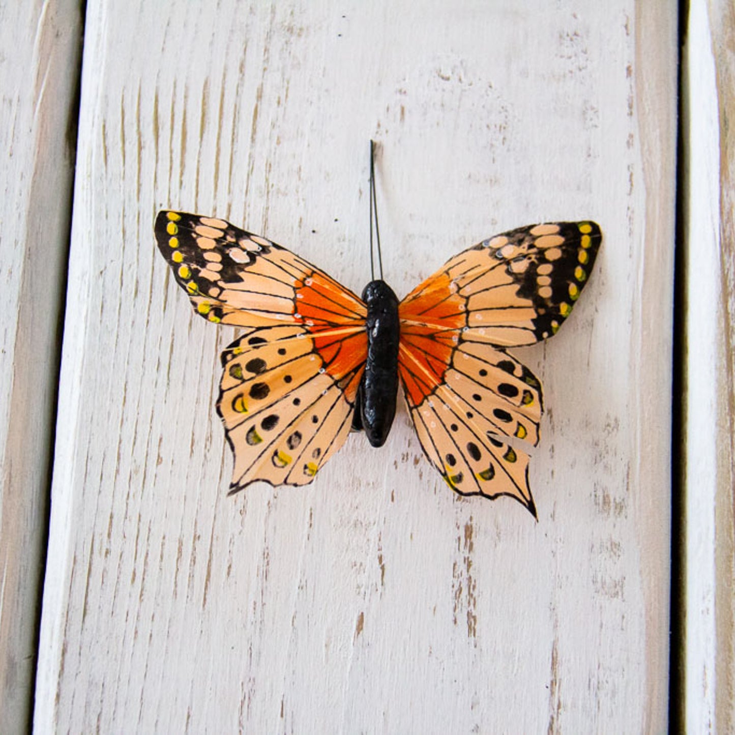 Butterfly - Large Embellishment Clips