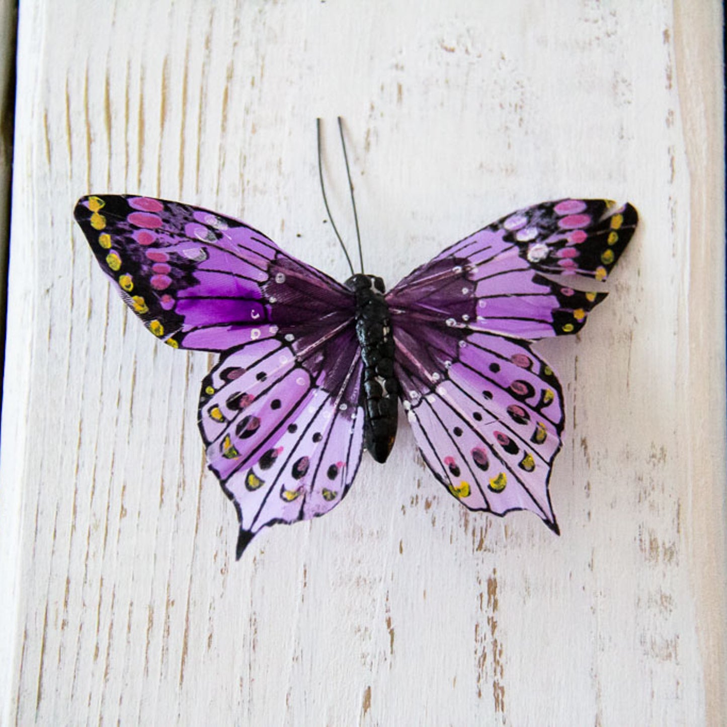 Butterfly - Large Embellishment Clips