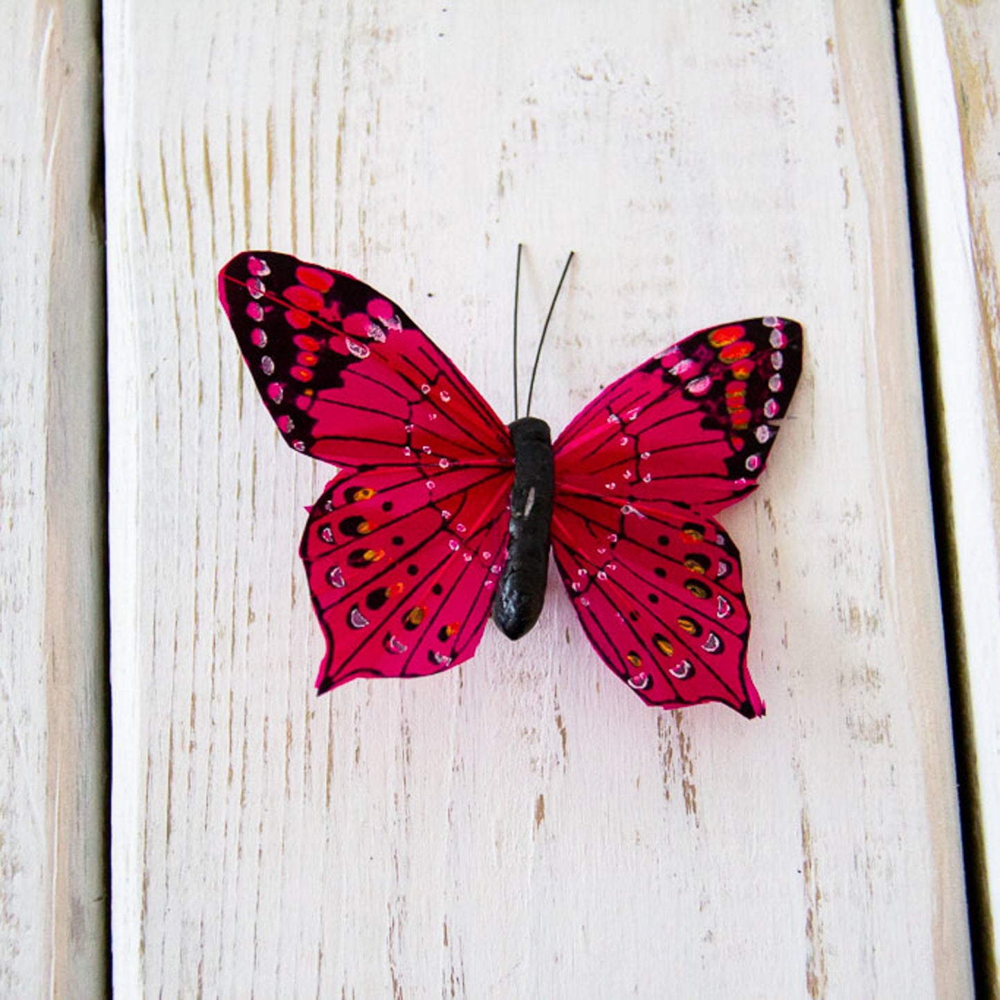 Butterfly - Large Embellishment Clips