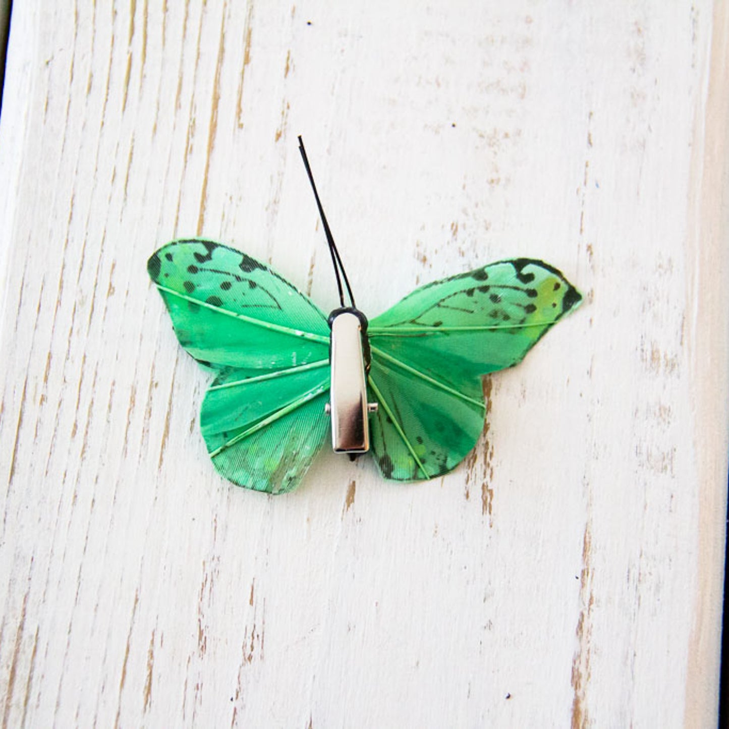 Butterfly - Small Embellishment Clips