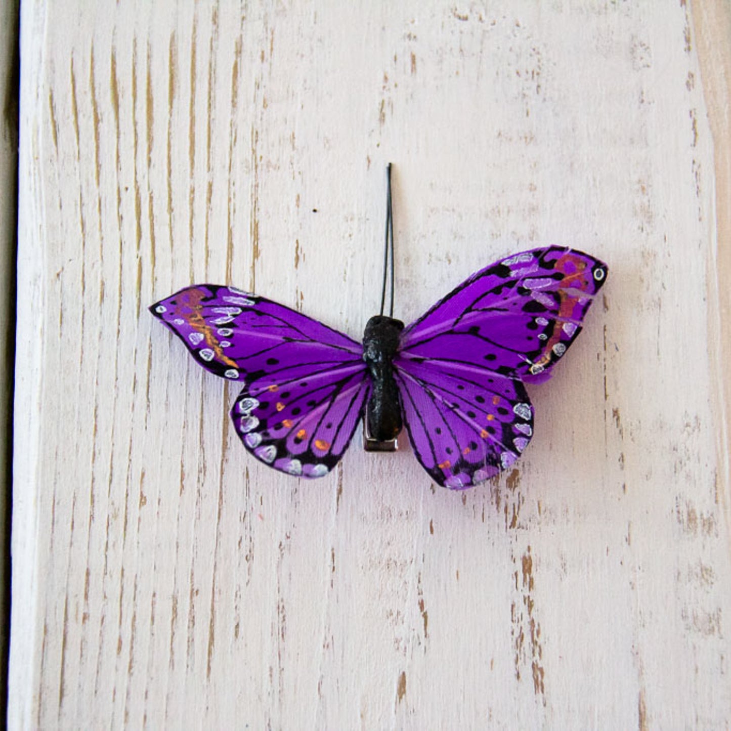Butterfly - Small Embellishment Clips