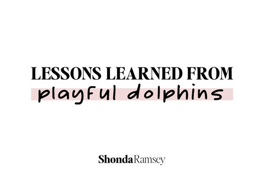 Lessons Learned from Playful Dolphins