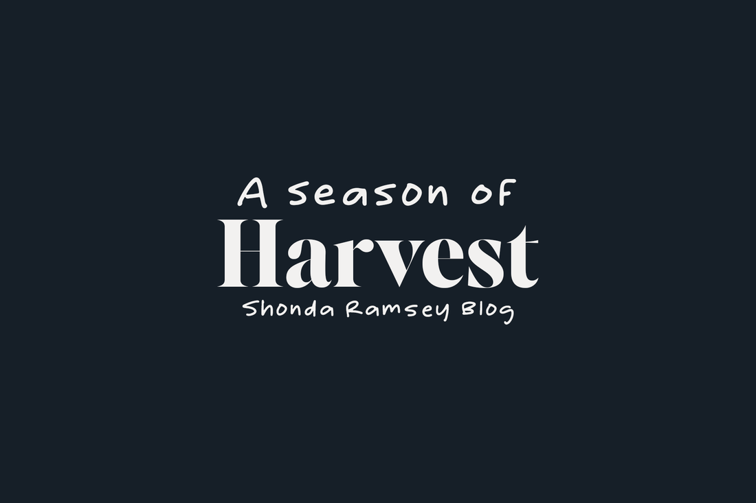 A Season of Harvest
