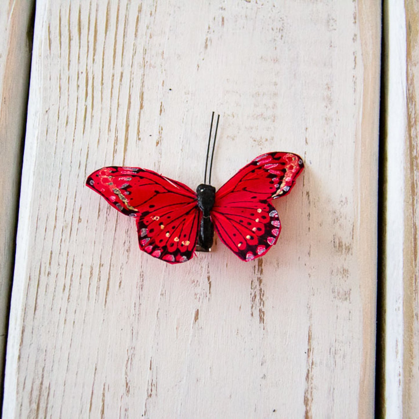 Butterfly - Small Embellishment Clips